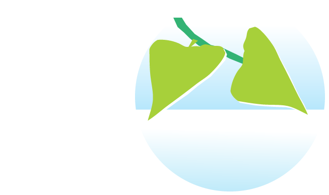 higienização de tapetes em sp